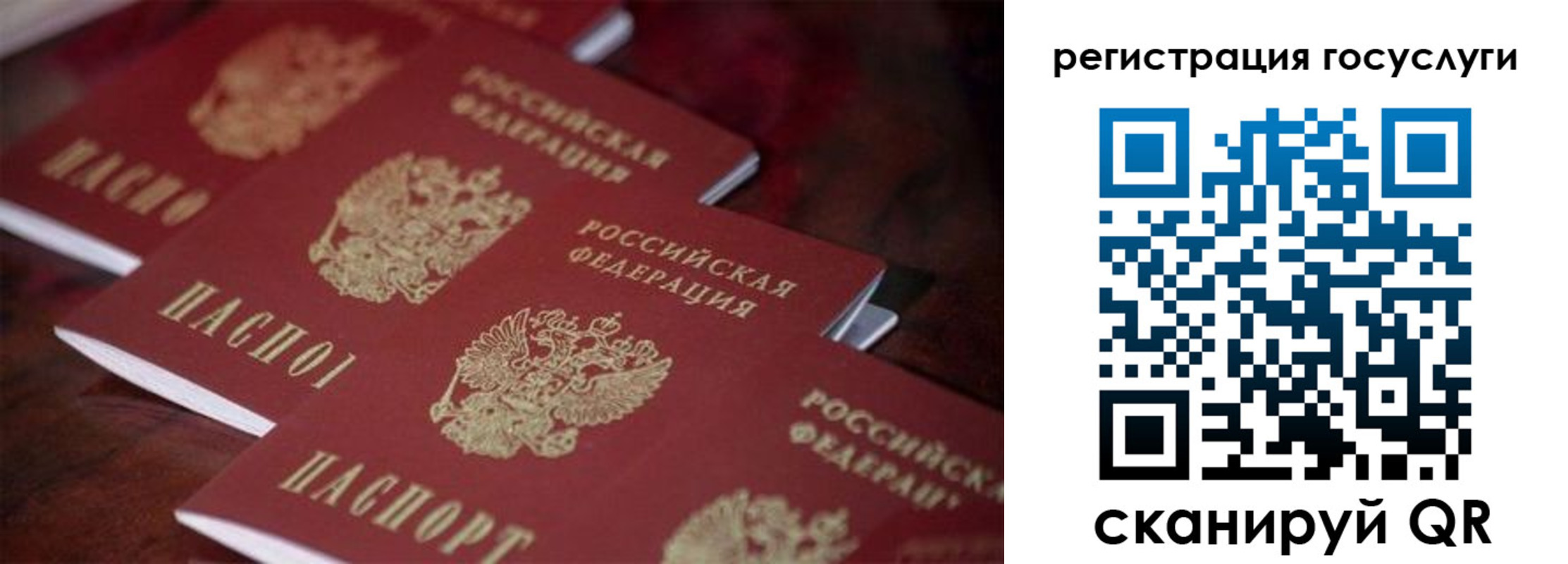 где прописаться в Архангельске